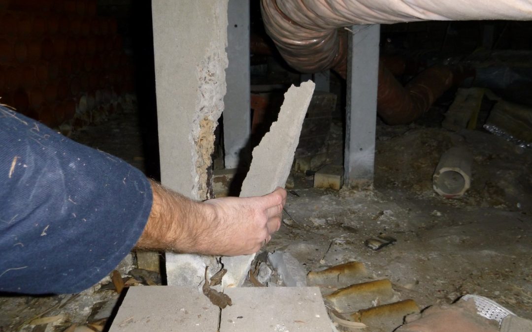 Pest & Building Inspection Frankston – Damaged Concrete Stumps