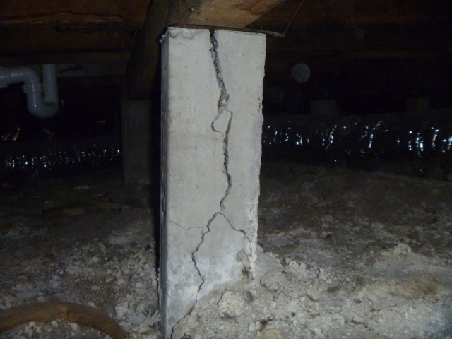 Dandenong Building Inspector discusses Cracked Stump