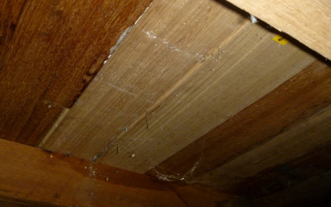 Building & Pest Inspectors Frankston – New Timber