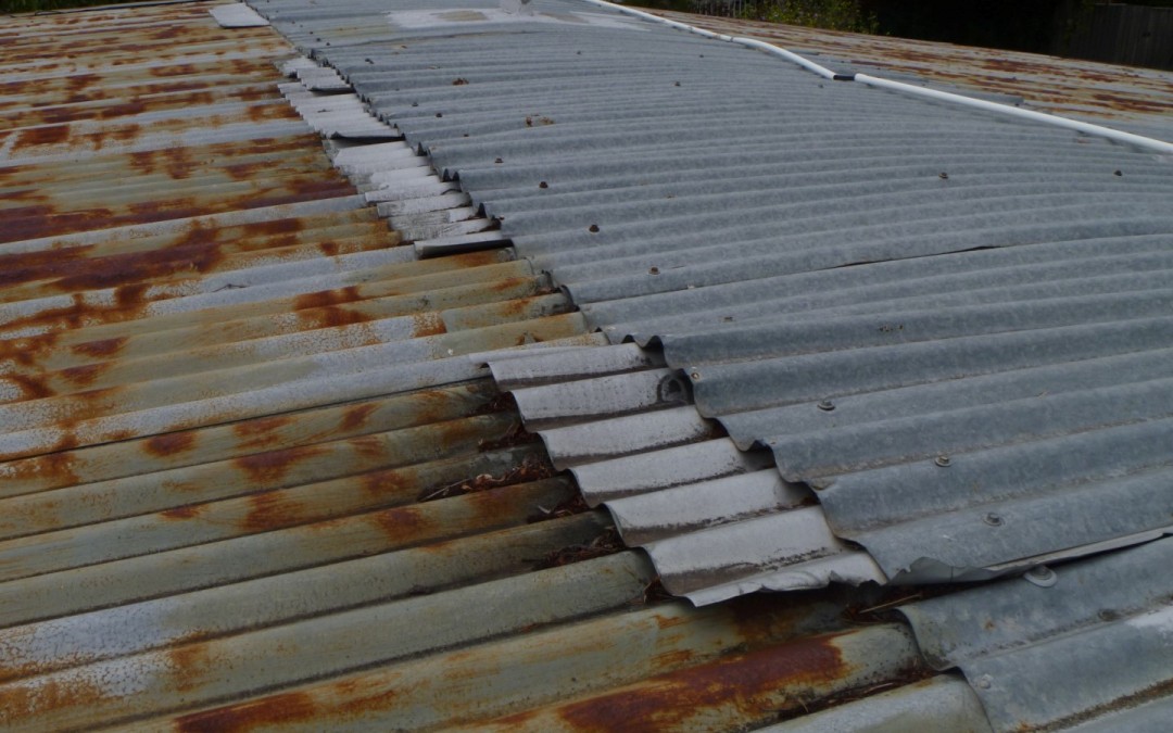 Building Inspector in Bayside Melbourne – Roof Replacement