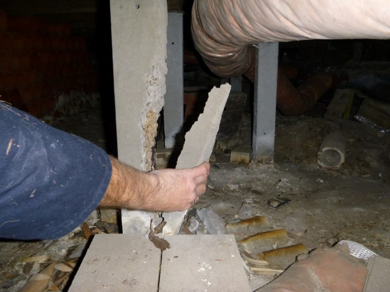 Pest & Building Inspection Frankston – Damaged Concrete Stumps